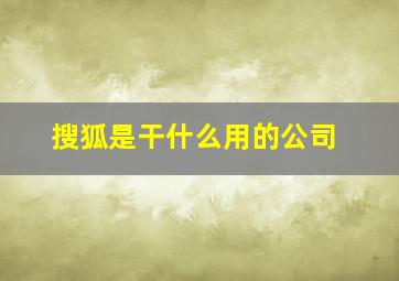 搜狐是干什么用的公司