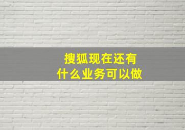 搜狐现在还有什么业务可以做