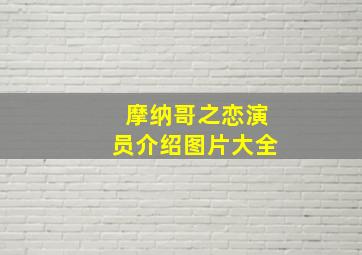 摩纳哥之恋演员介绍图片大全