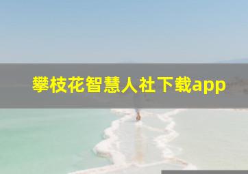 攀枝花智慧人社下载app