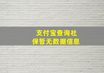 支付宝查询社保暂无数据信息