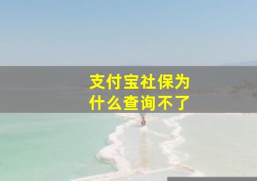 支付宝社保为什么查询不了