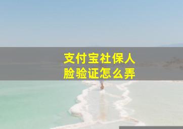 支付宝社保人脸验证怎么弄