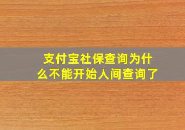 支付宝社保查询为什么不能开始人间查询了