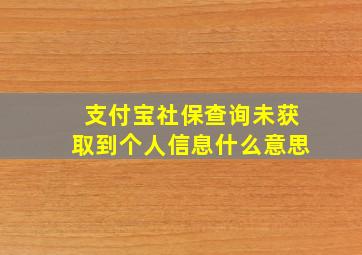 支付宝社保查询未获取到个人信息什么意思