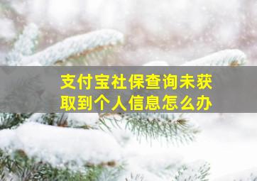 支付宝社保查询未获取到个人信息怎么办