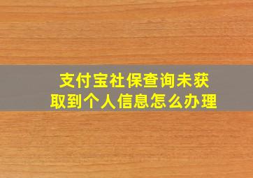 支付宝社保查询未获取到个人信息怎么办理