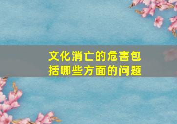 文化消亡的危害包括哪些方面的问题