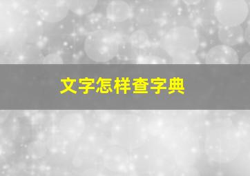 文字怎样查字典