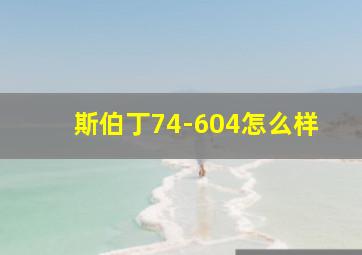 斯伯丁74-604怎么样