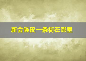 新会陈皮一条街在哪里