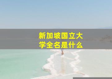 新加坡国立大学全名是什么