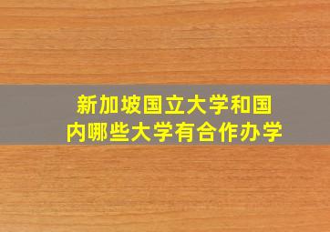 新加坡国立大学和国内哪些大学有合作办学