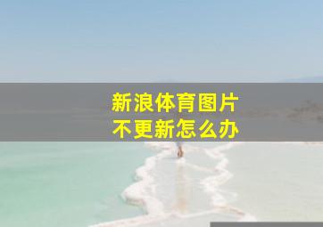 新浪体育图片不更新怎么办