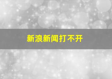 新浪新闻打不开