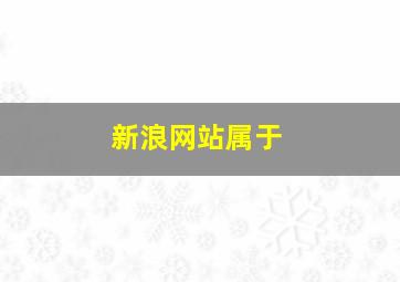 新浪网站属于