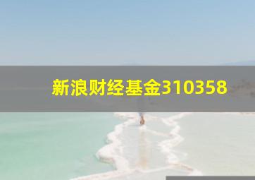 新浪财经基金310358