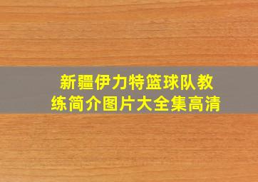 新疆伊力特篮球队教练简介图片大全集高清