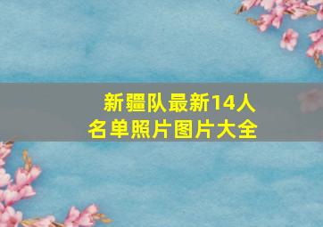 新疆队最新14人名单照片图片大全