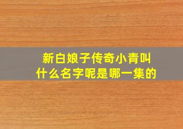 新白娘子传奇小青叫什么名字呢是哪一集的