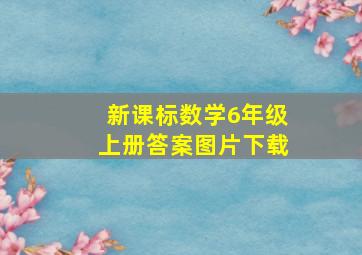 新课标数学6年级上册答案图片下载