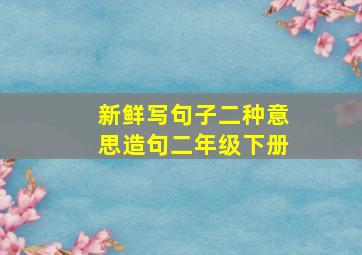 新鲜写句子二种意思造句二年级下册