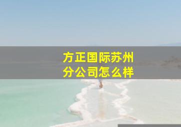 方正国际苏州分公司怎么样