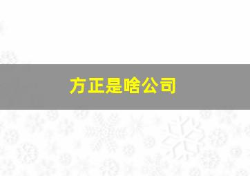 方正是啥公司