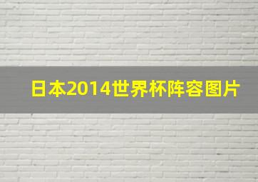 日本2014世界杯阵容图片