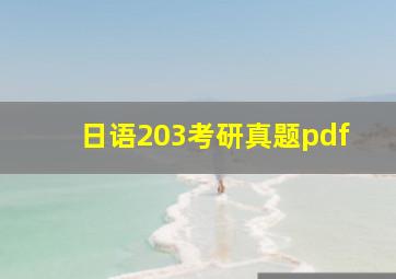 日语203考研真题pdf