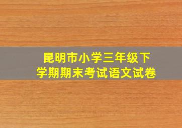 昆明市小学三年级下学期期末考试语文试卷