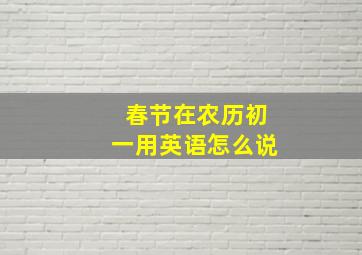 春节在农历初一用英语怎么说