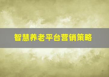 智慧养老平台营销策略