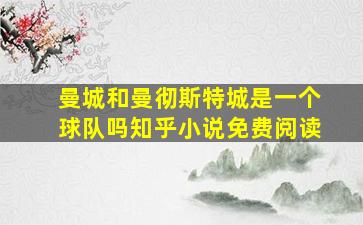 曼城和曼彻斯特城是一个球队吗知乎小说免费阅读