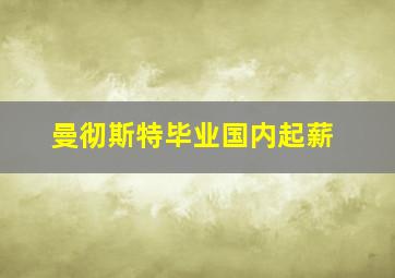 曼彻斯特毕业国内起薪