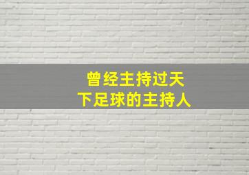 曾经主持过天下足球的主持人