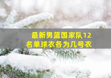 最新男篮国家队12名单球衣各为几号衣