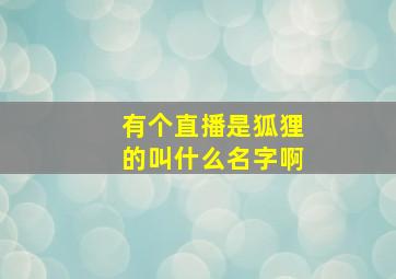 有个直播是狐狸的叫什么名字啊