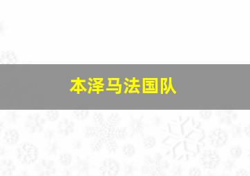 本泽马法国队