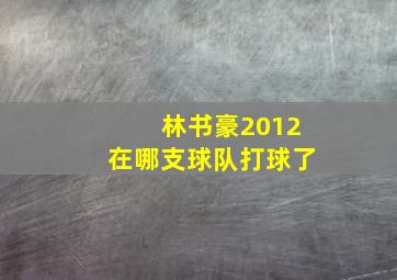 林书豪2012在哪支球队打球了