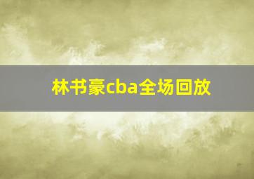 林书豪cba全场回放