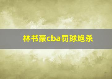 林书豪cba罚球绝杀