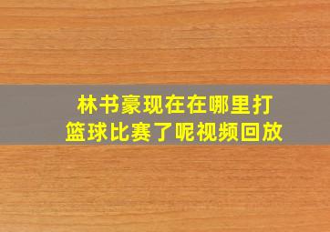 林书豪现在在哪里打篮球比赛了呢视频回放