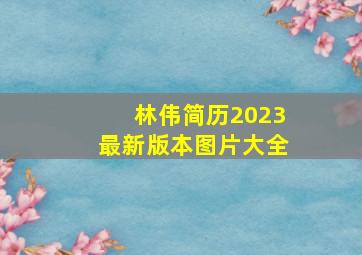 林伟简历2023最新版本图片大全