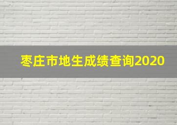 枣庄市地生成绩查询2020