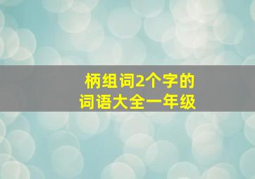 柄组词2个字的词语大全一年级