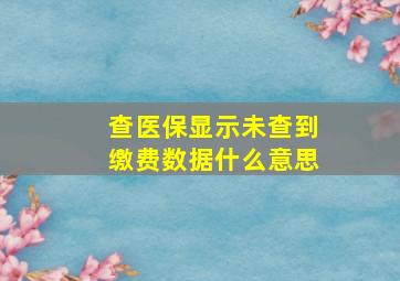 查医保显示未查到缴费数据什么意思