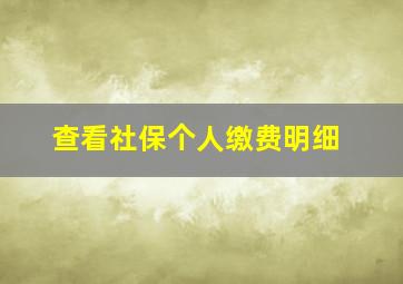 查看社保个人缴费明细