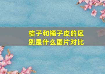 桔子和橘子皮的区别是什么图片对比