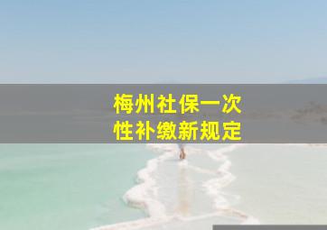 梅州社保一次性补缴新规定